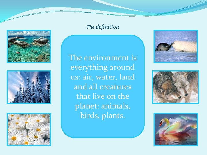 The definition The environment is everything around us: air, water, land all creatures that