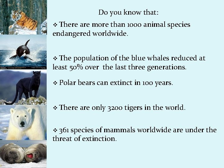 Do you know that: v There are more than 1000 animal species endangered worldwide.
