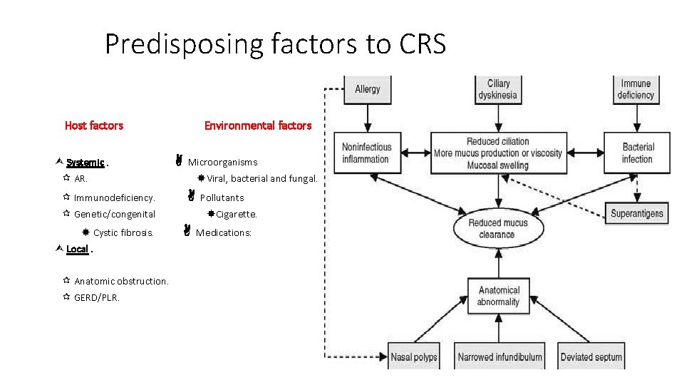 Predisposing factors to CRS Host factors Systemic. Environmental factors Microorganisms AR. Immunodeficiency. Viral, bacterial