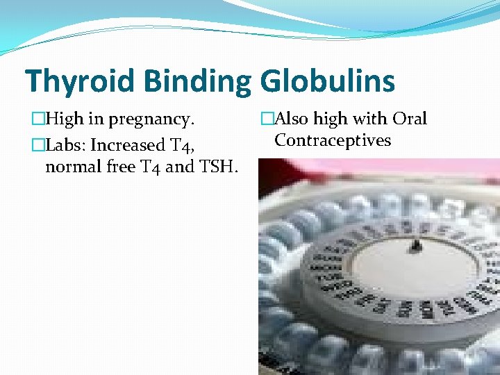 Thyroid Binding Globulins �High in pregnancy. �Labs: Increased T 4, normal free T 4