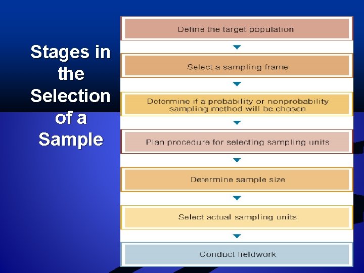 Stages in the Selection of a Sample 16– 11 