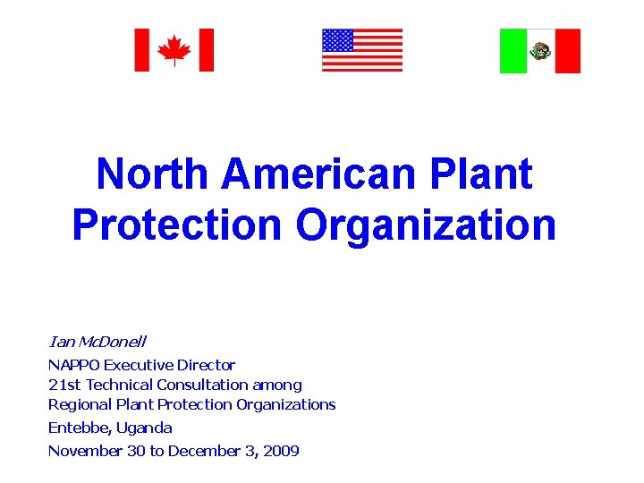 North American Plant Protection Organization Ian Mc. Donell NAPPO Executive Director 21 st Technical
