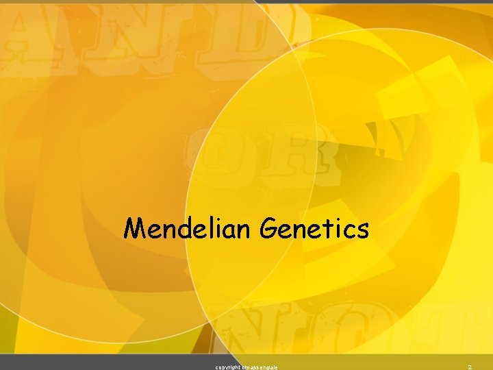 Mendelian Genetics copyright cmassengale 2 