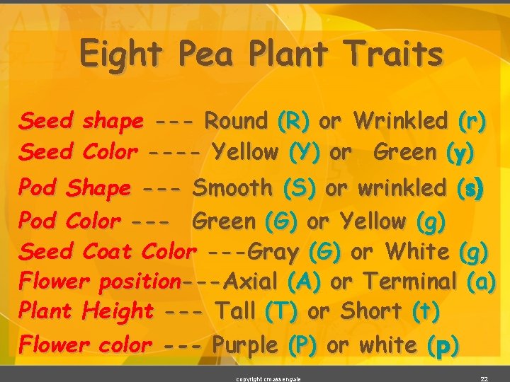 Eight Pea Plant Traits Seed shape --- Round (R) or Wrinkled (r) Seed Color