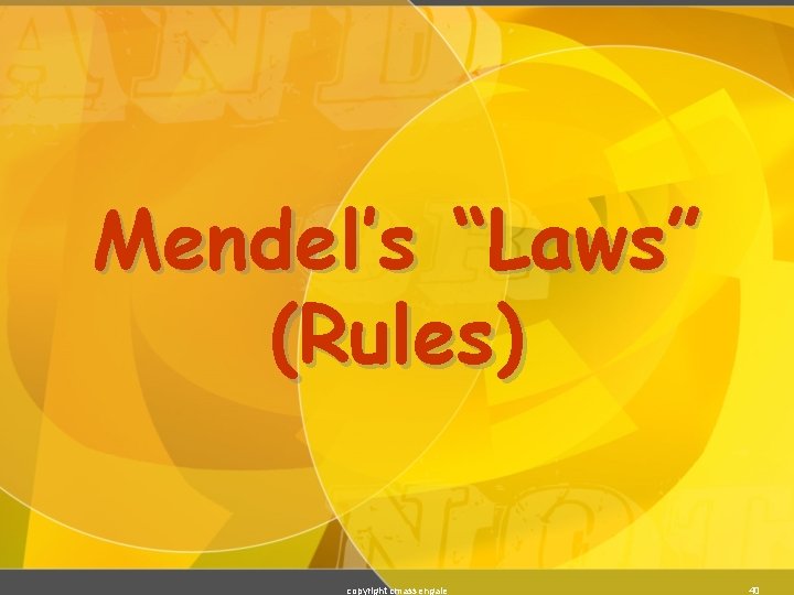 Mendel’s “Laws” (Rules) copyright cmassengale 40 
