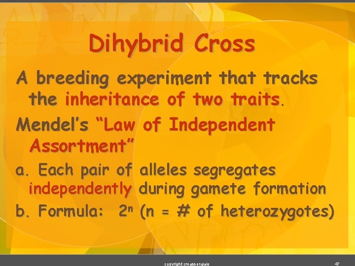 Dihybrid Cross A breeding experiment that tracks the inheritance of two traits. Mendel’s “Law