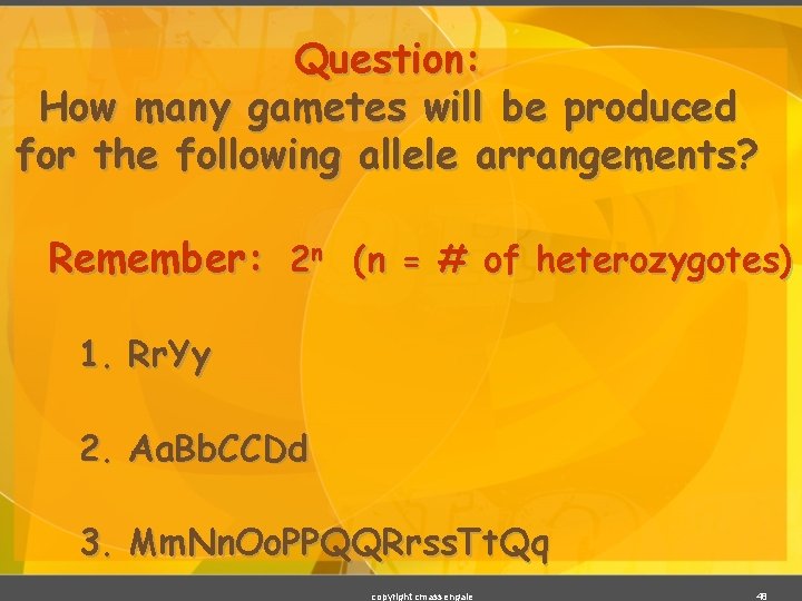 Question: How many gametes will be produced for the following allele arrangements? Remember: 2