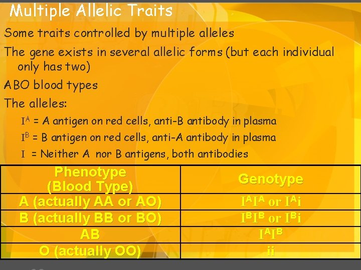 Multiple Allelic Traits Some traits controlled by multiple alleles The gene exists in several