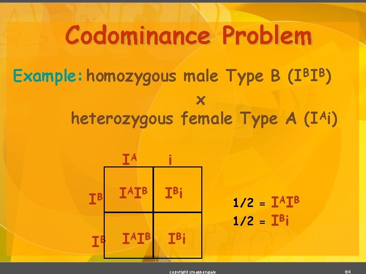 Codominance Problem Example: homozygous male Type B (IBIB) x heterozygous female Type A (IAi)