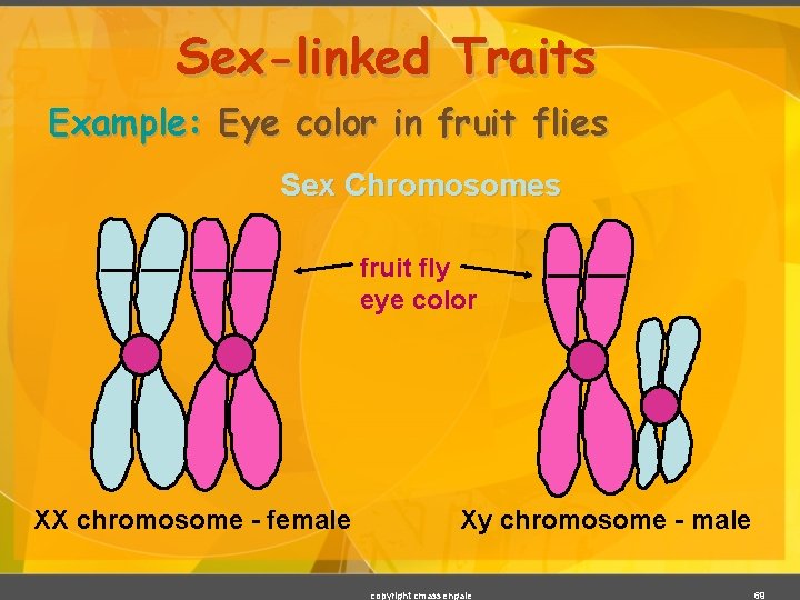 Sex-linked Traits Example: Eye color in fruit flies Sex Chromosomes fruit fly eye color