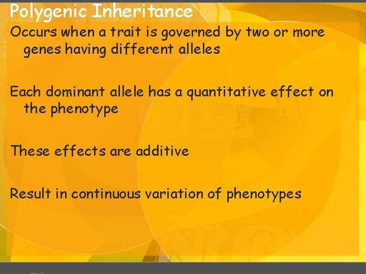 Polygenic Inheritance Occurs when a trait is governed by two or more genes having