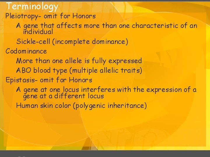 Terminology Pleiotropy- omit for Honors A gene that affects more than one characteristic of