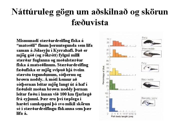 Náttúruleg gögn um aðskilnað og skörun fæðuvista Mismunadi stærðardreifing fiska á “matseðli” fimm þernutegunda