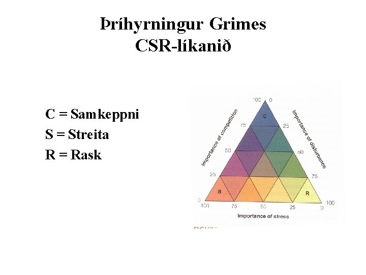 Þríhyrningur Grimes CSR-líkanið C = Samkeppni S = Streita R = Rask 