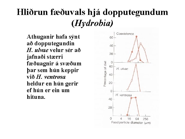 Hliðrun fæðuvals hjá dopputegundum (Hydrobia) Athuganir hafa sýnt að dopputegundin H. ulvae velur sér