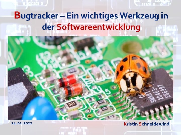 Bugtracker – Ein wichtiges Werkzeug in der Softwareentwicklung 14. 02. 2022 Kristin Schneidewind 