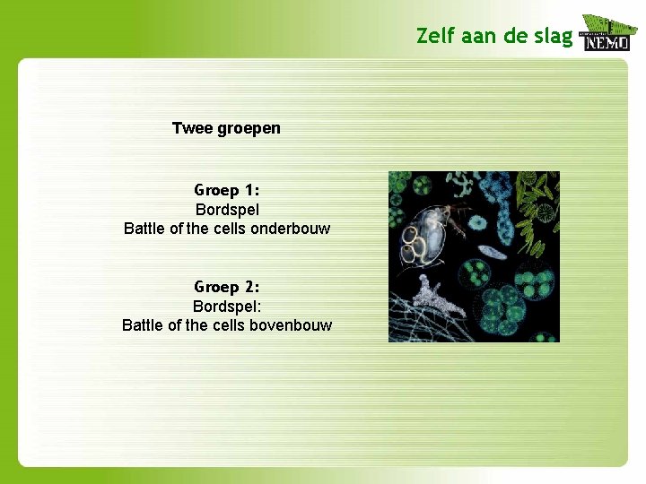 Zelf aan de slag Twee groepen Groep 1: Bordspel Battle of the cells onderbouw