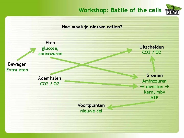 Workshop: Battle of the cells Hoe maak je nieuwe cellen? Eten glucose, aminozuren Uitscheiden