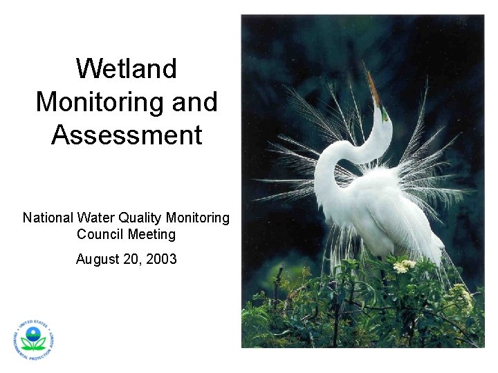 Wetland Monitoring and Assessment National Water Quality Monitoring Council Meeting August 20, 2003 