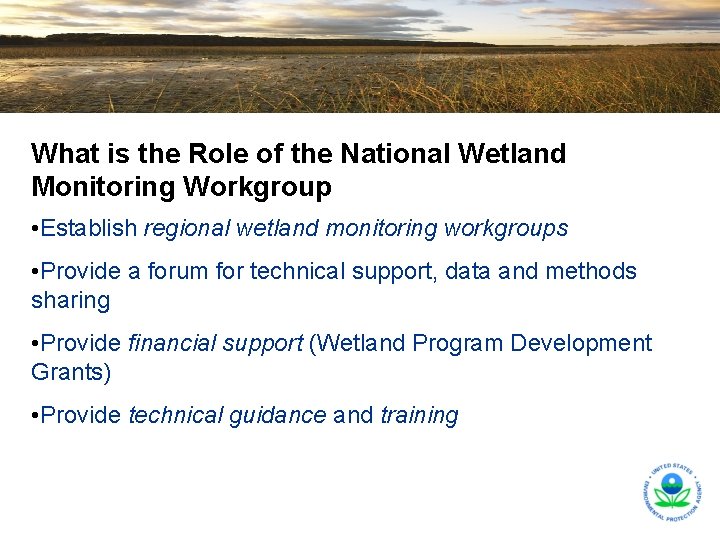 What is the Role of the National Wetland Monitoring Workgroup • Establish regional wetland