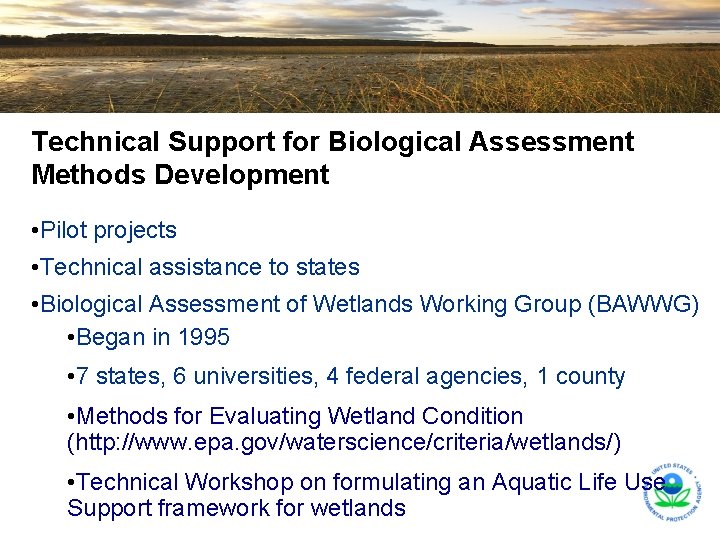Technical Support for Biological Assessment Methods Development • Pilot projects • Technical assistance to Technical Support for Biological Assessment Methods Development • Pilot projects • Technical assistance to