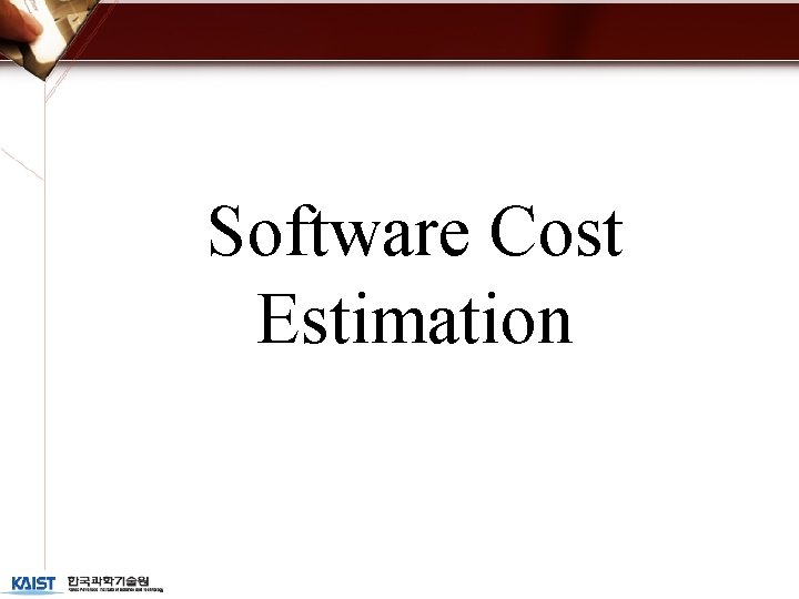 Software Cost Estimation 