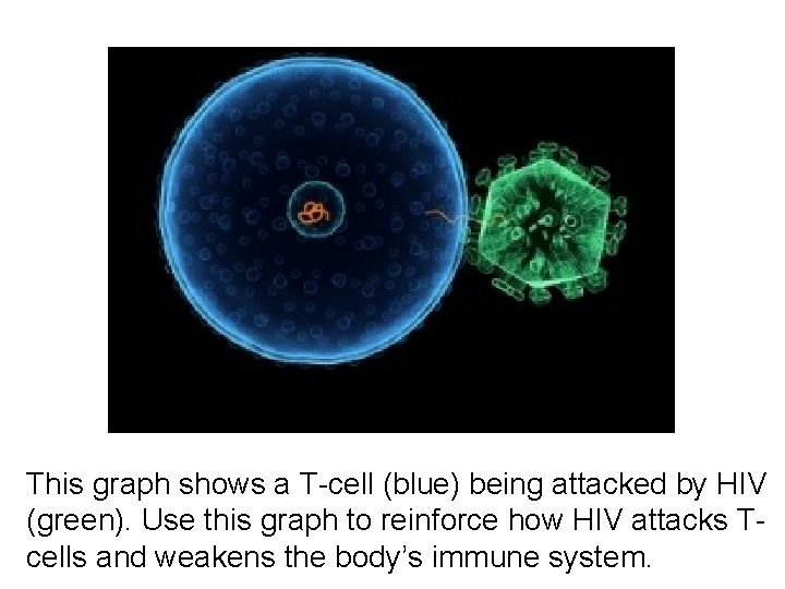 This graph shows a T-cell (blue) being attacked by HIV (green). Use this graph This graph shows a T-cell (blue) being attacked by HIV (green). Use this graph
