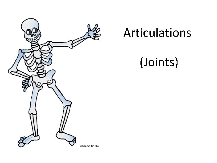 Articulations (Joints) 