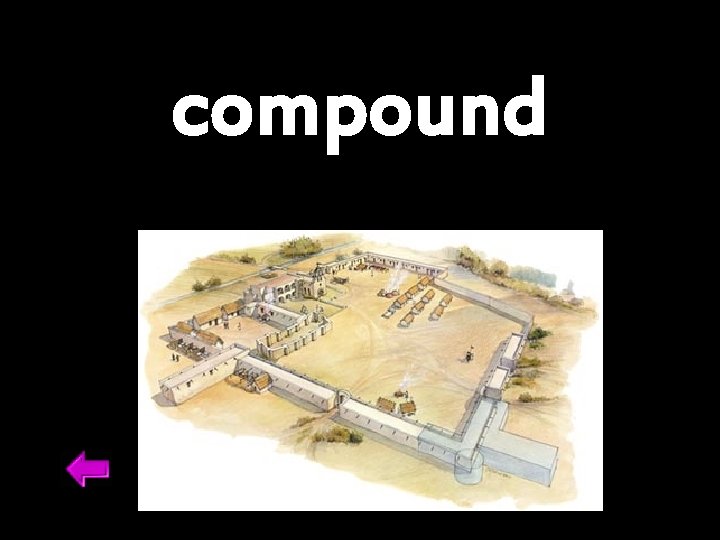 compound 