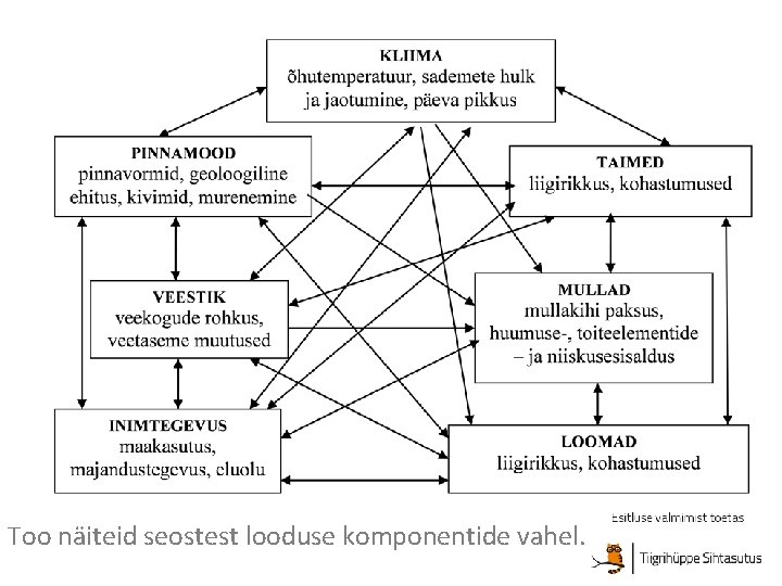 Too näiteid seostest looduse komponentide vahel. 