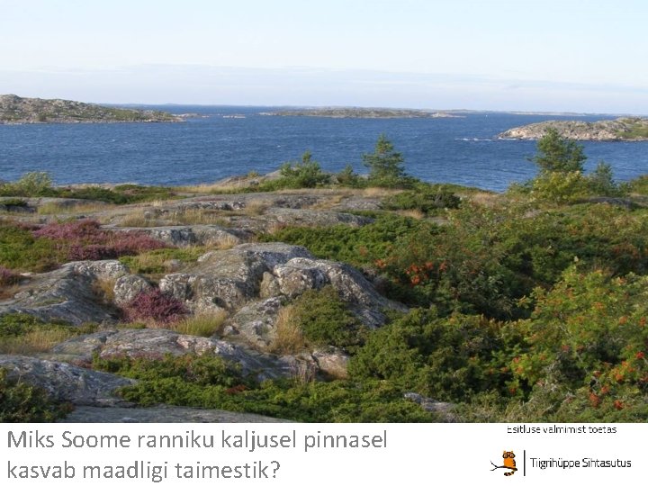 Miks Soome ranniku kaljusel pinnasel kasvab maadligi taimestik? 