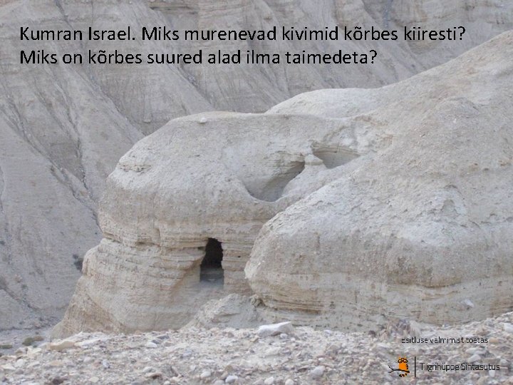 Kumran Israel. Miks murenevad kivimid kõrbes kiiresti? Miks on kõrbes suured alad ilma taimedeta?