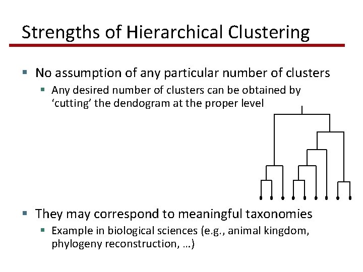 Strengths of Hierarchical Clustering § No assumption of any particular number of clusters §