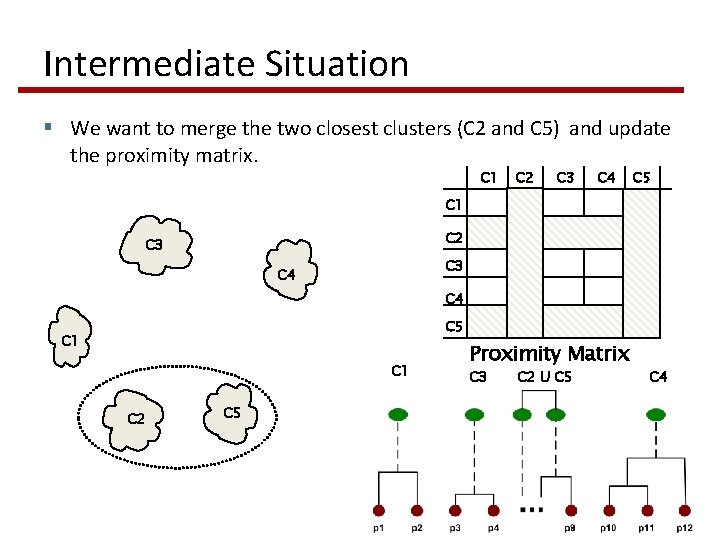 Intermediate Situation § We want to merge the two closest clusters (C 2 and