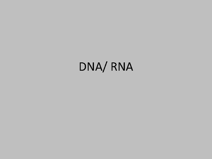 DNA/ RNA 