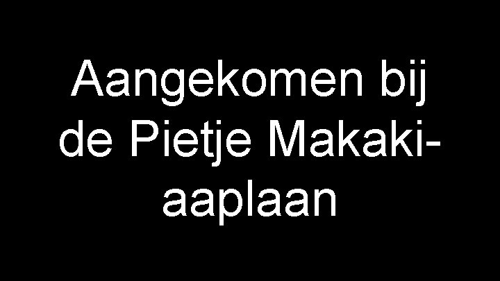 Aangekomen bij de Pietje Makakiaaplaan 