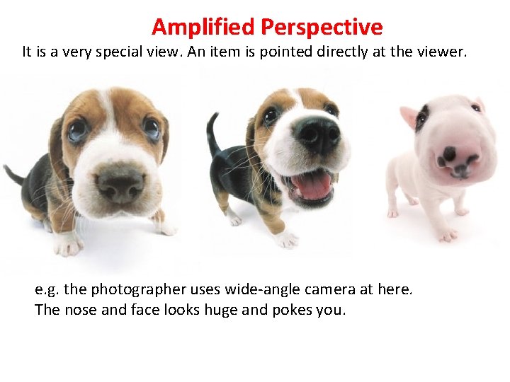 Amplified Perspective It is a very special view. An item is pointed directly at
