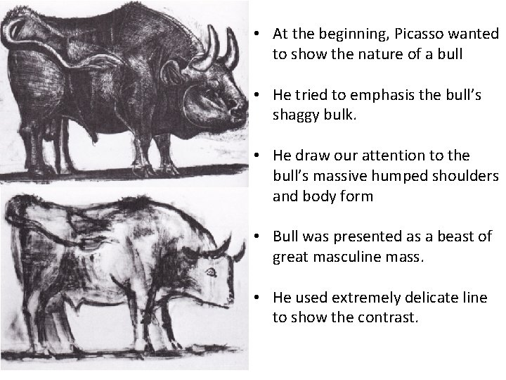  • At the beginning, Picasso wanted to show the nature of a bull