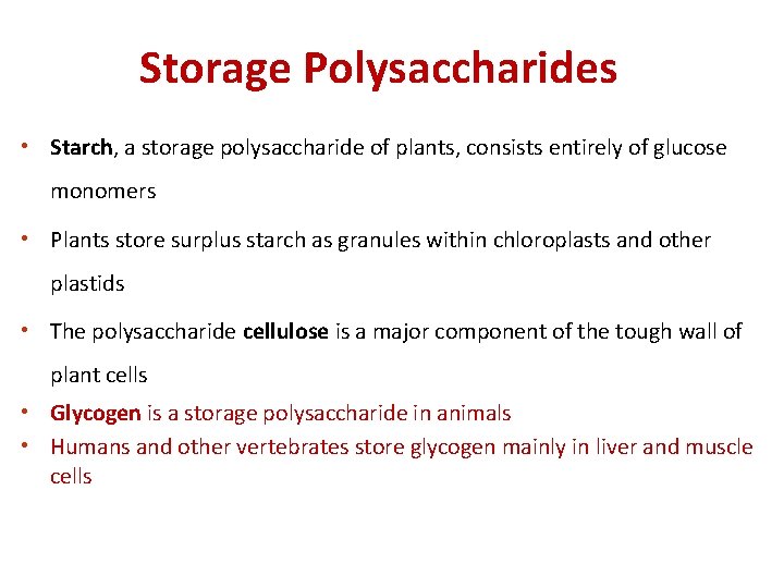 Storage Polysaccharides • Starch, a storage polysaccharide of plants, consists entirely of glucose monomers