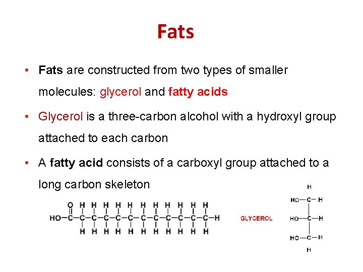 Fats • Fats are constructed from two types of smaller molecules: glycerol and fatty