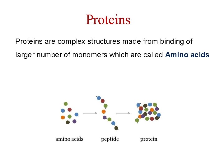 Proteins are complex structures made from binding of larger number of monomers which are