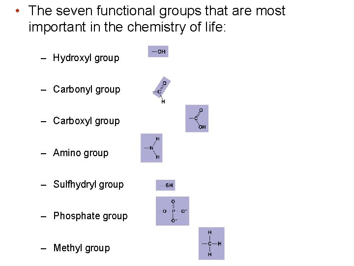  • The seven functional groups that are most important in the chemistry of