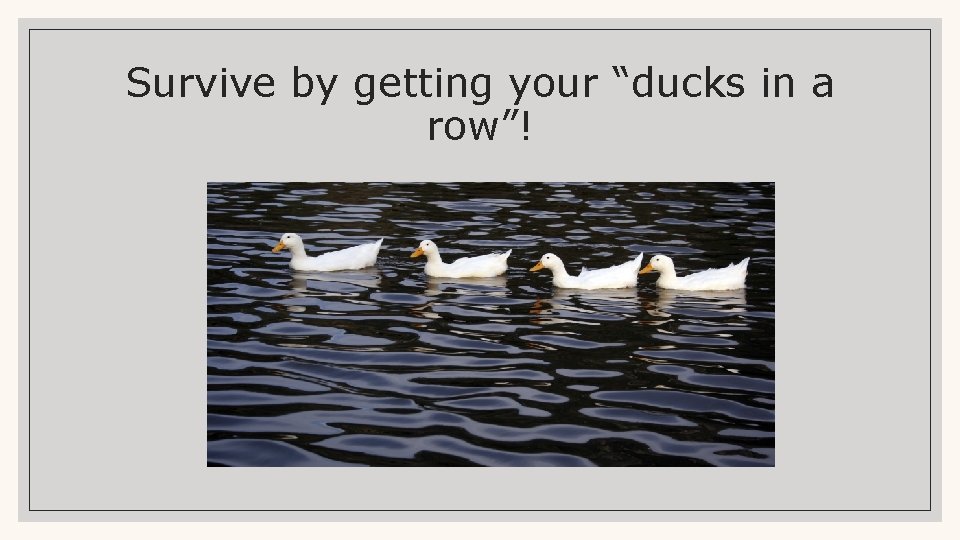 Survive by getting your “ducks in a row”! 