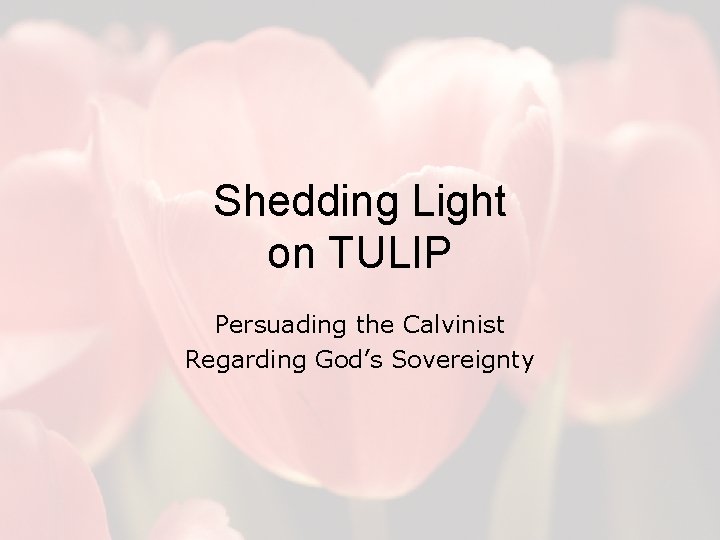 Shedding Light on TULIP Persuading the Calvinist Regarding God’s Sovereignty 