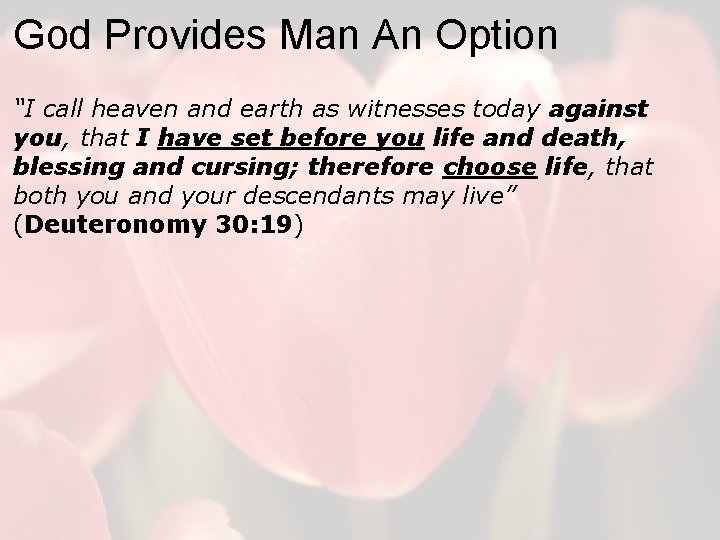 God Provides Man An Option “I call heaven and earth as witnesses today against