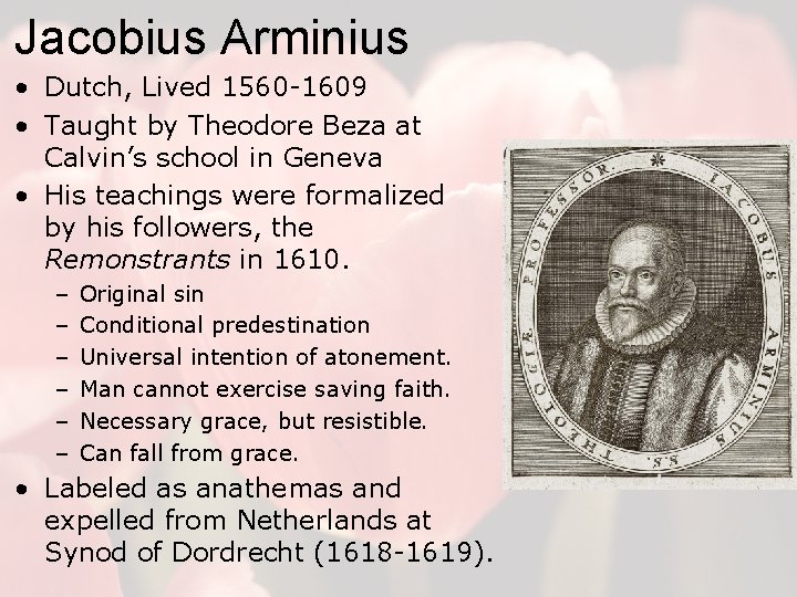 Jacobius Arminius • Dutch, Lived 1560 -1609 • Taught by Theodore Beza at Calvin’s