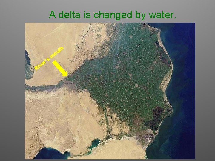 A delta is changed by water. v Ri e r’s m th u o