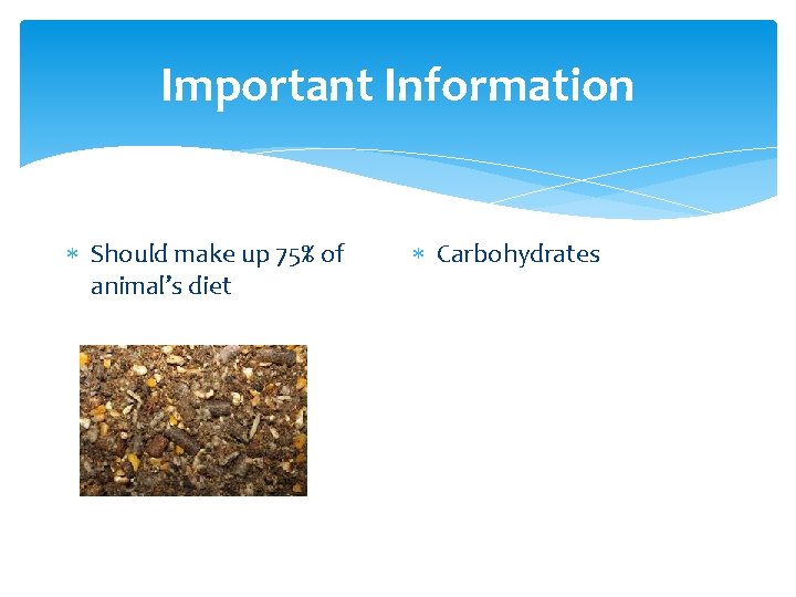 Important Information Should make up 75% of animal’s diet Carbohydrates 