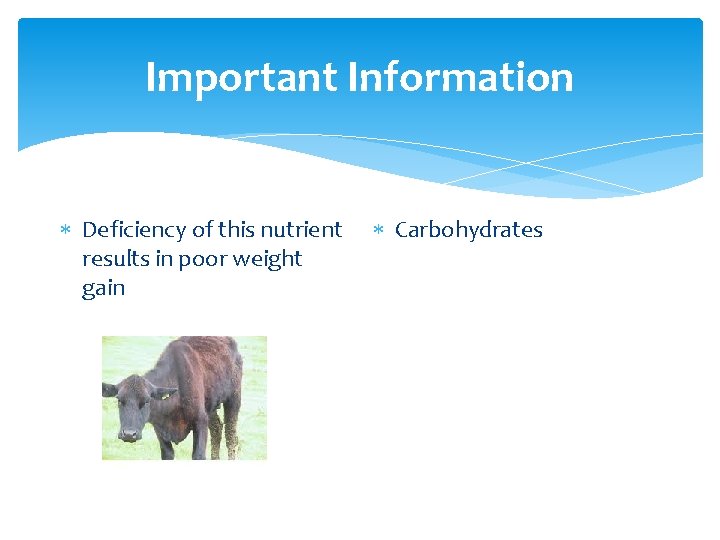 Important Information Deficiency of this nutrient results in poor weight gain Carbohydrates 