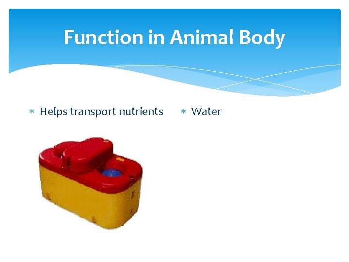 Function in Animal Body Helps transport nutrients Water 